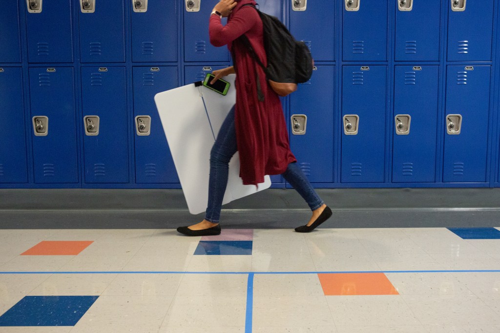 CHSG Releases its approach to Inclusion, diversity, equity, and access&nbsp;(IDEA)